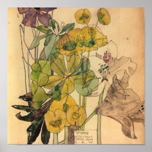 Charles Rennie Mackintosh - Spurge With Yham 1909 Poster