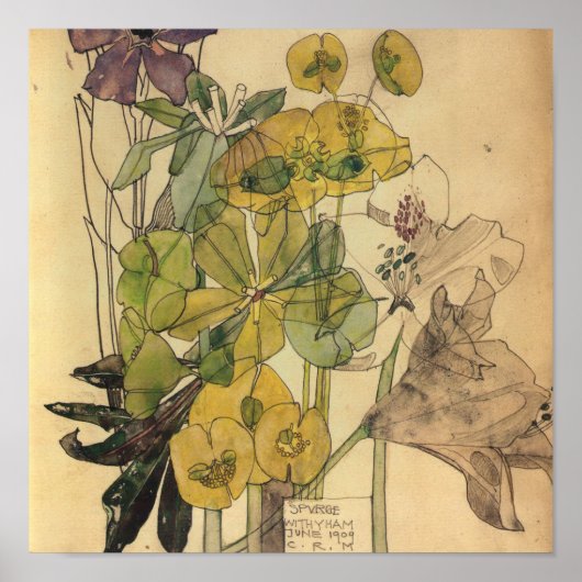 Charles Rennie Mackintosh - Spurge With Yham 1909 Poster (Voorkant)