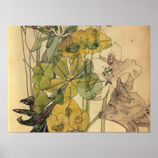 Charles Rennie Mackintosh - Spurge With Yham 1909 Poster (Voorkant)