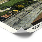 Charles River Basin en Esplanade Uitzicht Poster (Hoek)