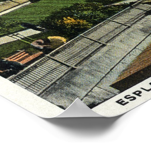 Charles River Basin en Esplanade Uitzicht Poster (Hoek)