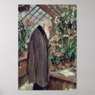 Charles Robert Darwin Poster