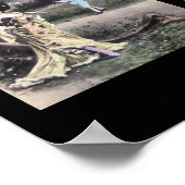 CHARLESTON  Alfabet Letter Name Art Poster (Hoek)