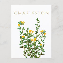  Charleston-bloem, midden eeuw Briefkaart