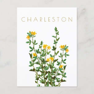  Charleston-bloem, midden eeuw Briefkaart