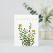  Charleston-bloem, midden eeuw Briefkaart (Staand voorkant)