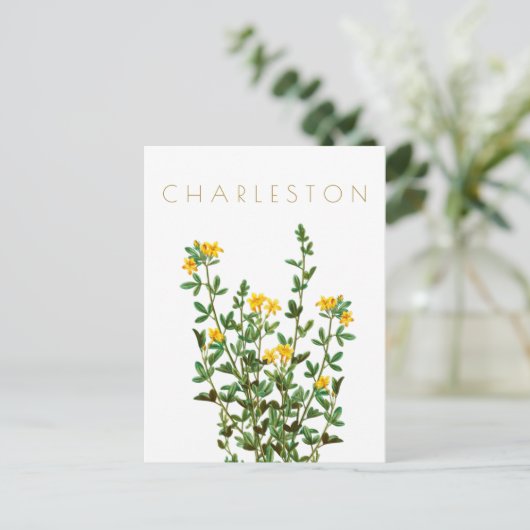  Charleston-bloem, midden eeuw Briefkaart (Staand voorkant)