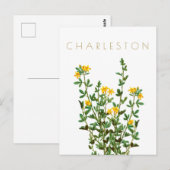  Charleston-bloem, midden eeuw Briefkaart (Voorkant / Achterkant)