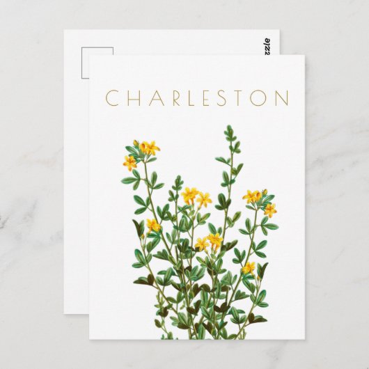  Charleston-bloem, midden eeuw Briefkaart (Voorkant / Achterkant)