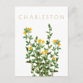  Charleston-bloem, midden eeuw Briefkaart (Voorkant)