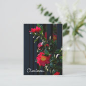 Charleston Camelia Briefkaart (Staand voorkant)