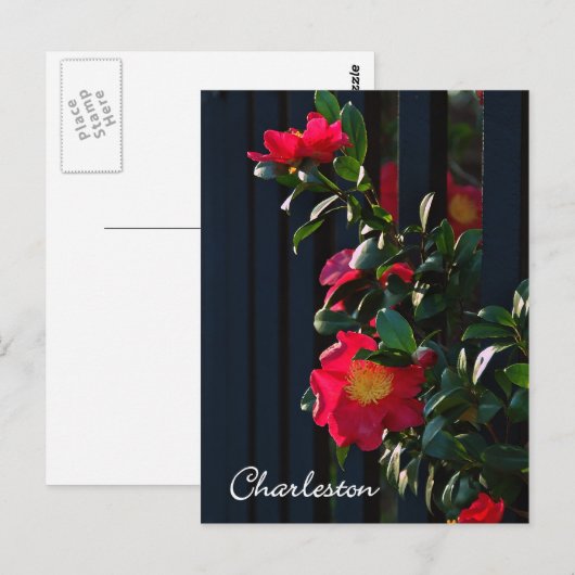 Charleston Camelia Briefkaart (Voorkant / Achterkant)