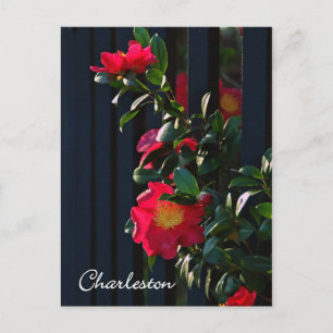Charleston Camelia Briefkaart