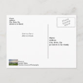 Charleston Harbour Boats Sunset Blank Post Kaart (Achterkant)