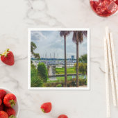 Charleston Harbour Servet (Insitu)