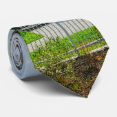 Charleston Harbour Stropdas (Opgerold)