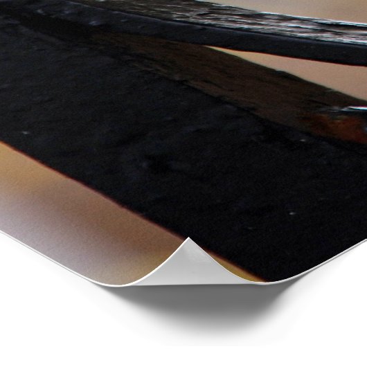 Charleston Iron Gate Detail Poster (Hoek)