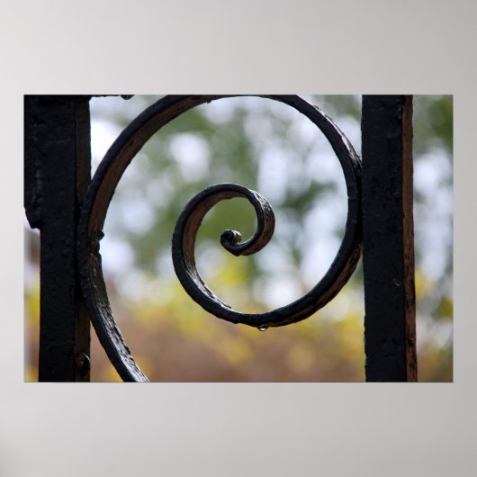 Charleston Iron Gate Detail Poster (Voorkant)