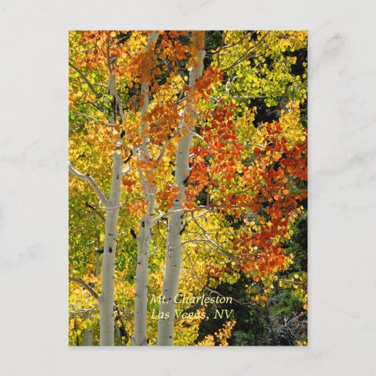 Charleston, Las Vegas, NV Aspens Briefkaart (Voorkant)