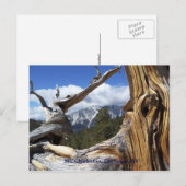 Charleston, Las Vegas, NV Briefkaart (Voorkant / Achterkant)