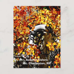 Charleston, Las Vegas NV Curved Aspen Briefkaart