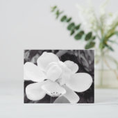 Charleston Magnolia Briefkaart (Staand voorkant)