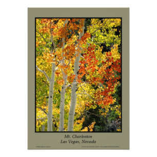 Charleston NV Autumn Aspen Trees Poster