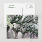 Charleston Oaks Briefkaart (Voorkant / Achterkant)