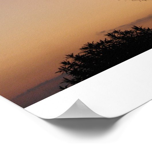 Charleston Palm Poster (Hoek)