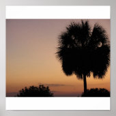 Charleston Palm Poster (Voorkant)