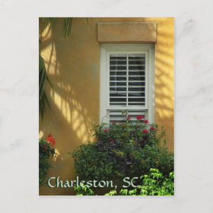 Charleston Pinckney St. Post Card Briefkaart
