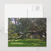Charleston Plantation Oak Trees Briefkaart (Voorkant / Achterkant)