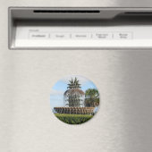 Charleston SC Ananas Fontein Magneet (Insitu (Vaatwasser))