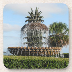 Charleston SC Ananas Fontein Onderzetters