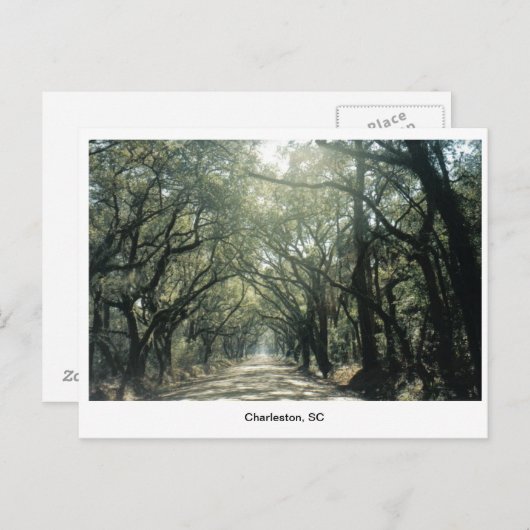 Charleston, SC Oak Trees Briefkaart (Voorkant / Achterkant)