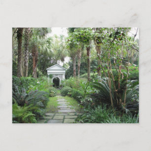 Charleston SC Palmettos Garden & Gazebo Briefkaart