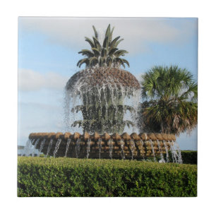 Charleston SC Pineapple Fountain Tegel Tegeltje