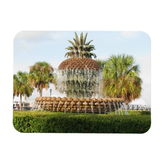 Charleston SC Pineapple Fountain, Waterfront Park Magneet (Horizontaal)