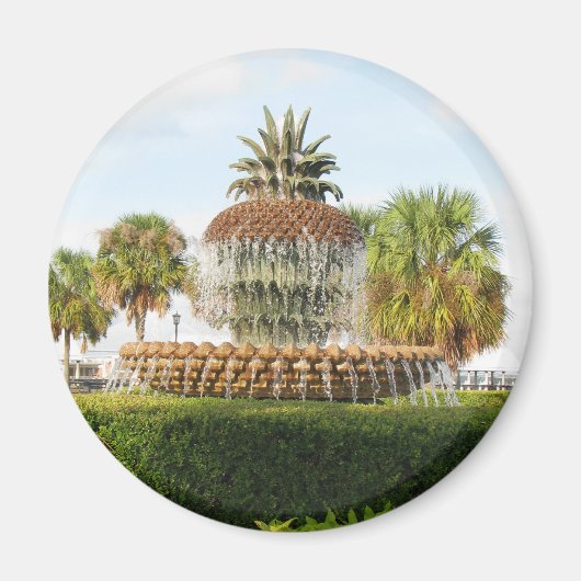 Charleston SC Pineapple Fountain, Waterfront Park Magneet (Voorkant)