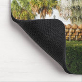 Charleston SC Pineapple Fountain, Waterfront Park Muismat (Hoek)