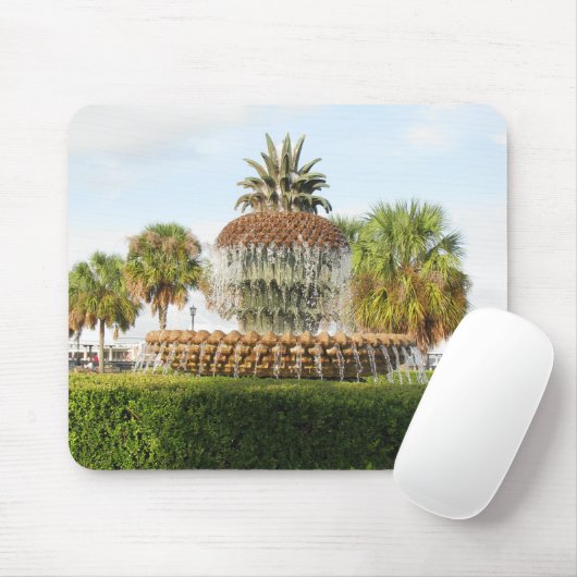 Charleston SC Pineapple Fountain, Waterfront Park Muismat (Met muis)