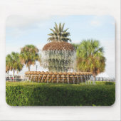 Charleston SC Pineapple Fountain, Waterfront Park Muismat (Voorkant)