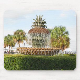 Charleston SC Pineapple Fountain, Waterfront Park Muismat