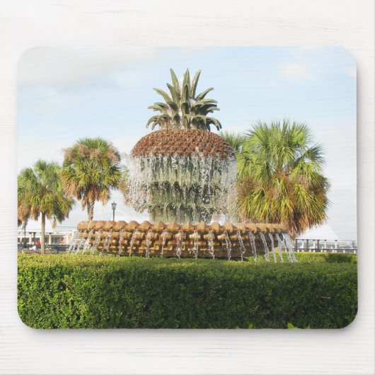 Charleston SC Pineapple Fountain, Waterfront Park Muismat (Voorkant)