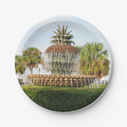 Charleston SC Pineapple Fountain, Waterfront Park Papieren Bordje (Voorkant)