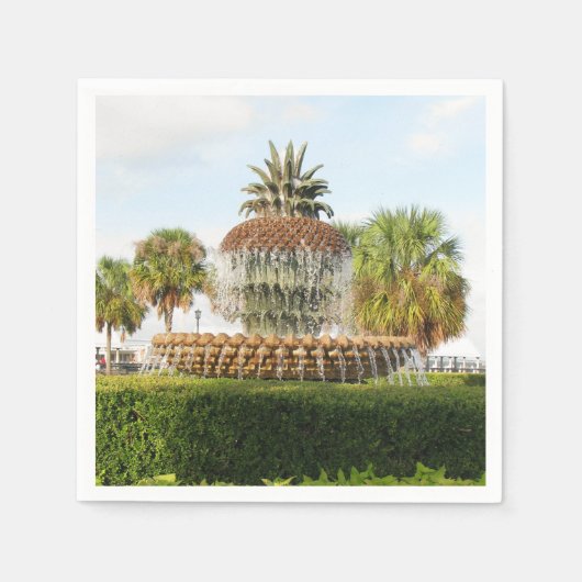 Charleston SC Pineapple Fountain, Waterfront Park Servet (Voorkant)