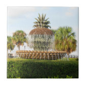 Charleston SC Pineapple Fountain, Waterfront Park Tegeltje (Voorkant)