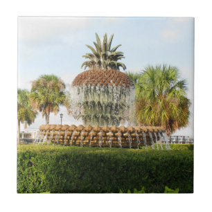 Charleston SC Pineapple Fountain, Waterfront Park Tegeltje