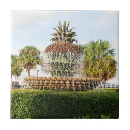 Charleston SC Pineapple Fountain, Waterfront Park Tegeltje (Voorkant)