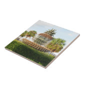 Charleston SC Pineapple Fountain, Waterfront Park Tegeltje (Zijkant)